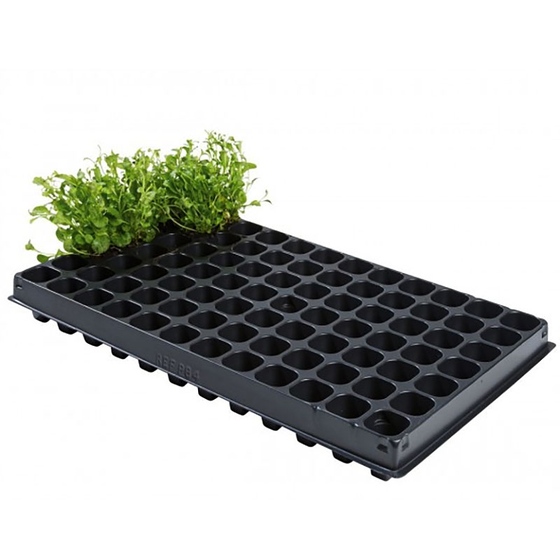 Enkelt pluggbrätte 84 celler, 2-pack