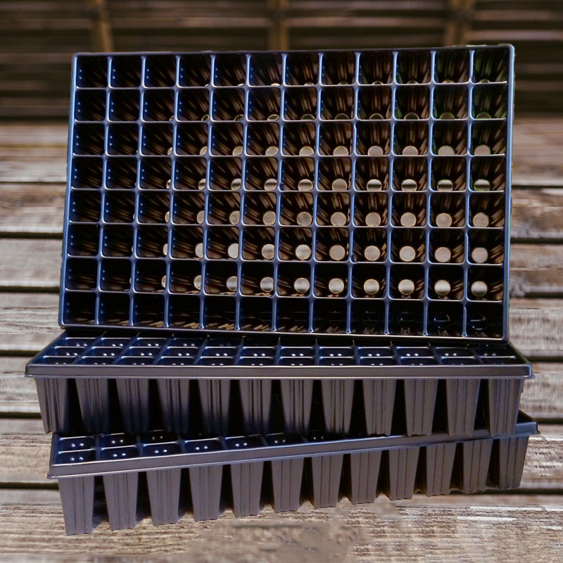 Pluggbrätte 96 celler, 3-pack
