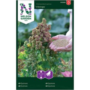 Quinoa "Vikinga"