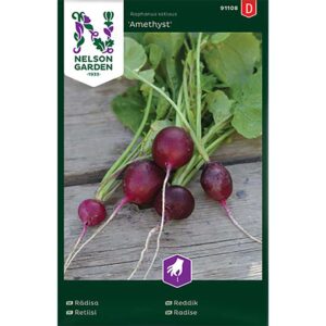 Rädisa "Amethyst"