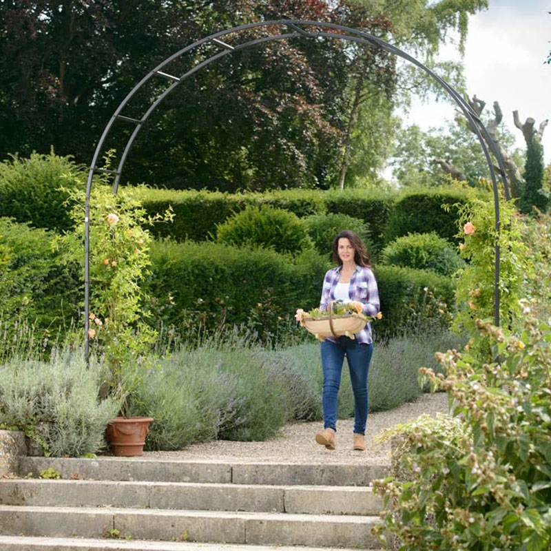 Kasviportaali puutarhassa.