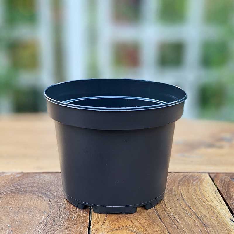 Plastkruka 1,5 liter, 5-pack