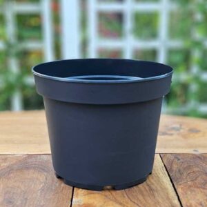 Plastkruka 3 liter, 3-pack