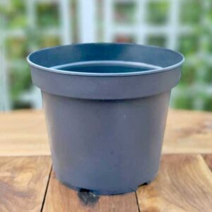 Plastkruka 5 liter, 3-pack