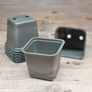 Stickling- och såkrukor 6 cm, 10-pack