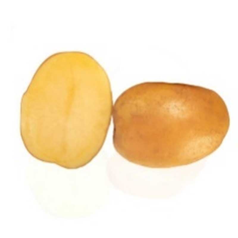 Decibel, sättpotatis