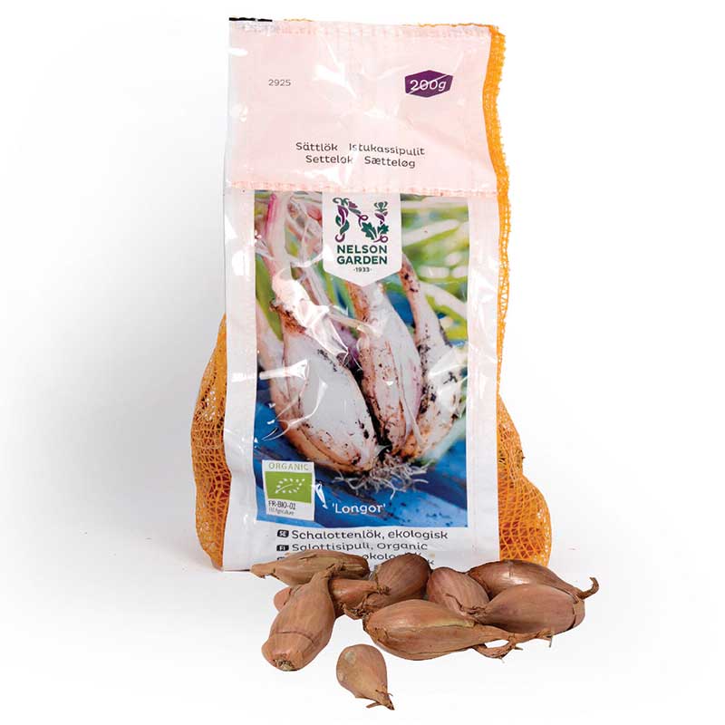 Schalottenlök "Longor" sättlök ekologisk, 200g