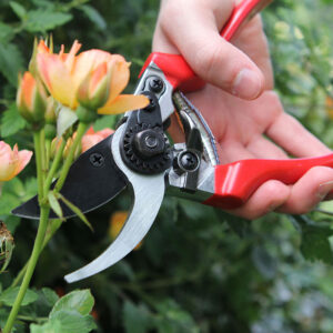 Tvåskärssekatör, Professional Pruner 20 mm