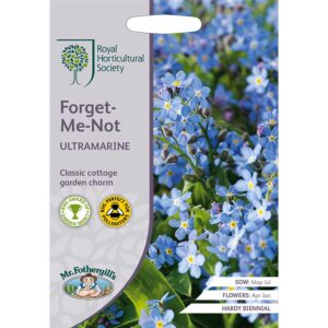 Skogsförgätmigej "Ultramarine"