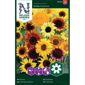 Solros, mix höga sorter