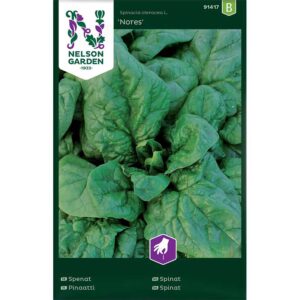 Spenat "Nores"
