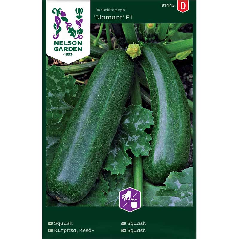 Squash "Diamant" F1
