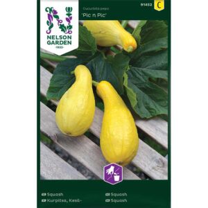 Squash "Pic n Pic"