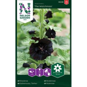 Stockros "The Watchman"