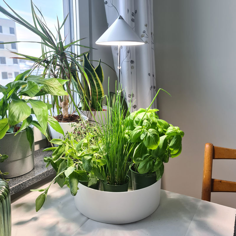 SunLite miniHerb 10W, S