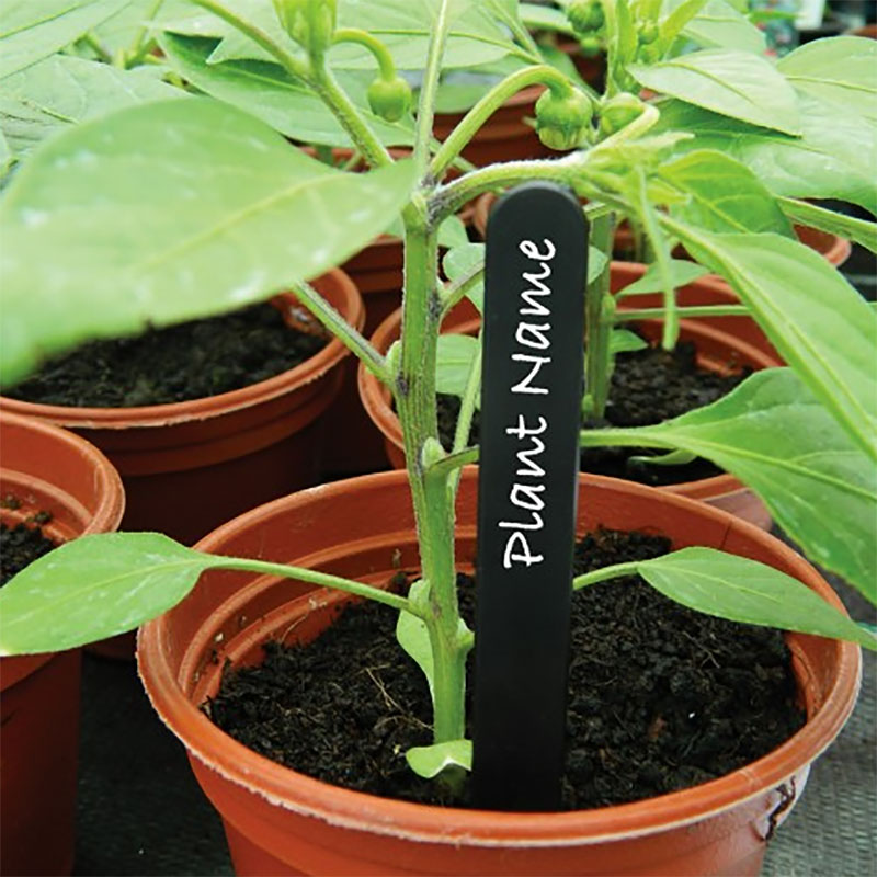 Plantetikett svart 10 cm, 30-pack