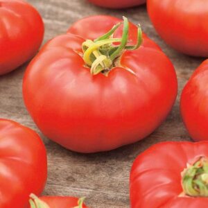 Tomat "Marmande"