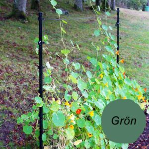 Trådspaljé, grön