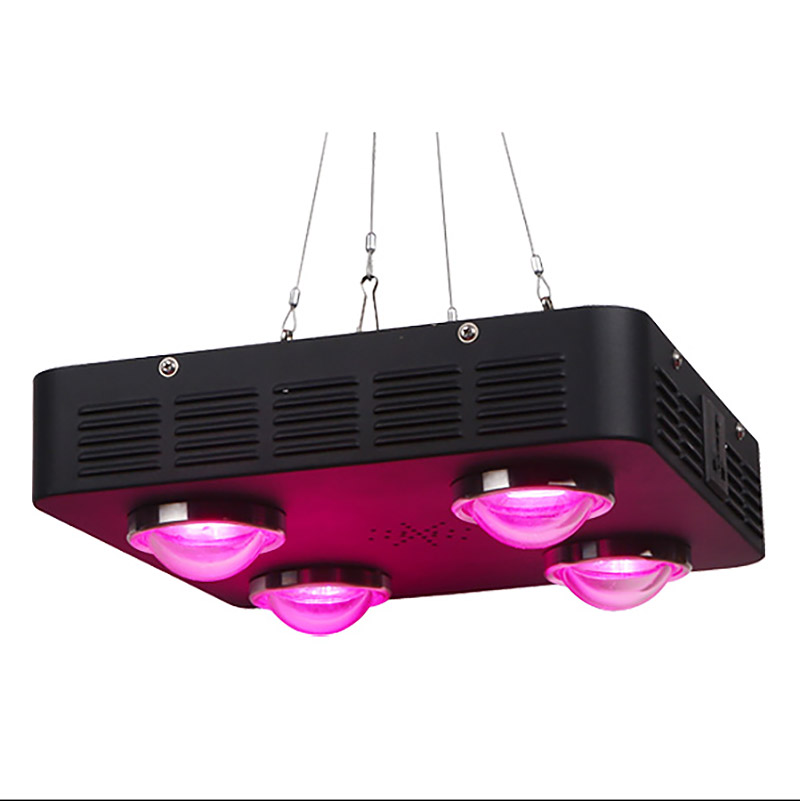 Growbox360 växtlampa LED, fullspektrum
