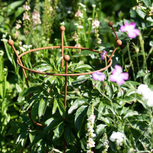 Växtstöd Trumpet Peony 60 cm, rost