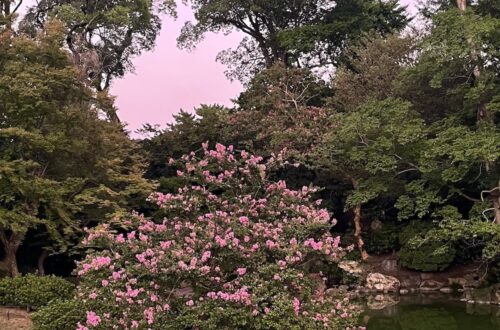 Japanska trädgårdar